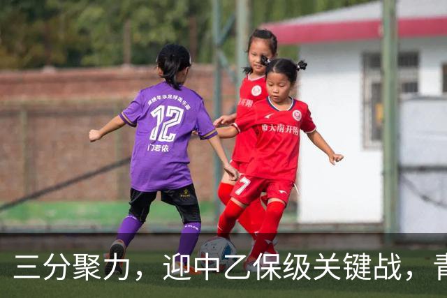 三分聚力，迎中乙保级关键战，青岛红狮本轮主场球票0.03元