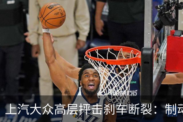 上汽大众高层抨击刹车断裂：制动踏板不能是断脚蟹，一踩就断