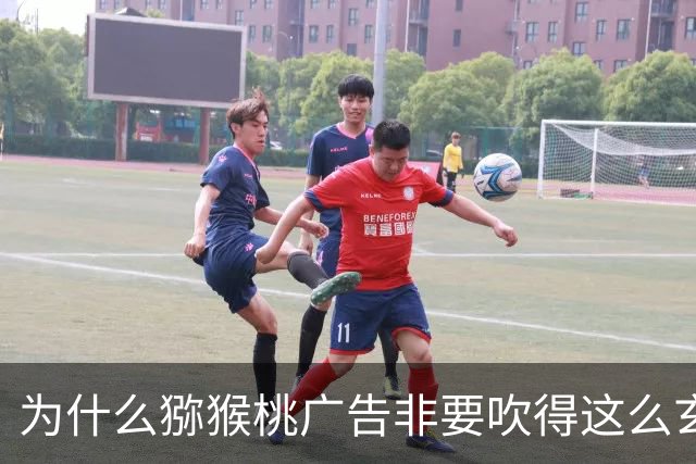 为什么猕猴桃广告非要吹得这么玄乎？