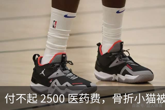 付不起 2500 医药费，骨折小猫被丢在地铁站口，3小时后一瘸一拐自己回到医院，猫：我还想活！