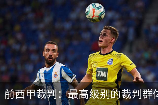 前西甲裁判：最高级别的裁判群体中加泰裁判少是因被“仇恨”