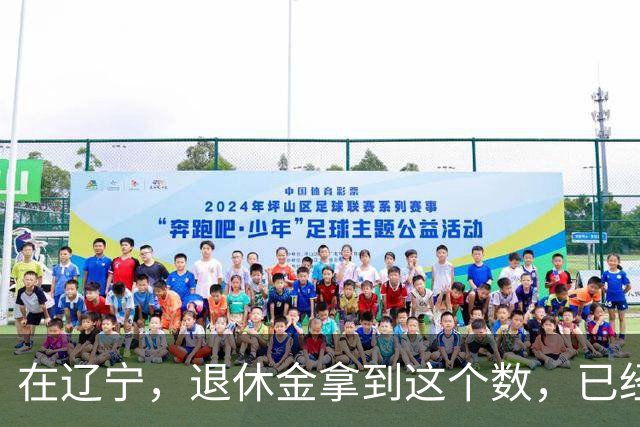 在辽宁，退休金拿到这个数，已经超过八成退休人员