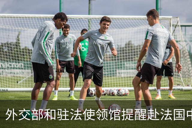 外交部和驻法使领馆提醒赴法国中国公民加强安全防范