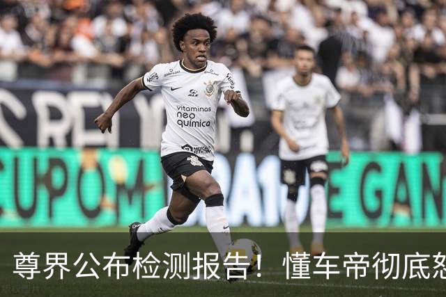 尊界公布检测报告！懂车帝彻底怒了