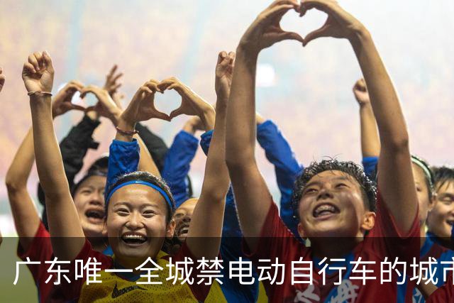 广东唯一全城禁电动自行车的城市，外地游客很容易踩坑