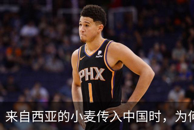 来自西亚的小麦传入中国时，为何会被热爱耕种的古人各种嫌弃？