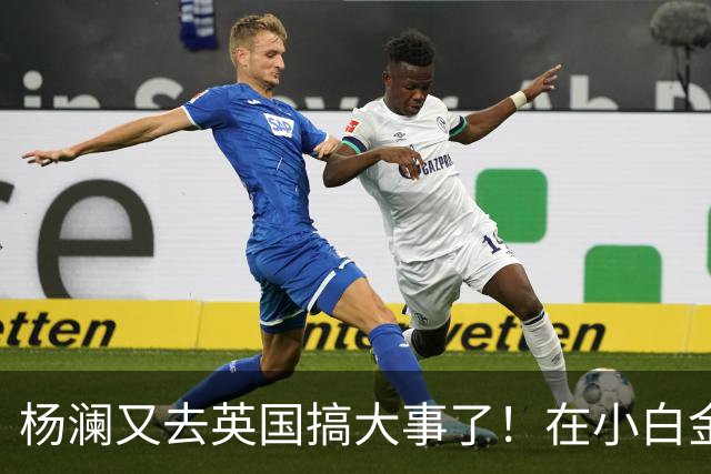 杨澜又去英国搞大事了！在小白金汉宫办中国非遗展，吴征也去了