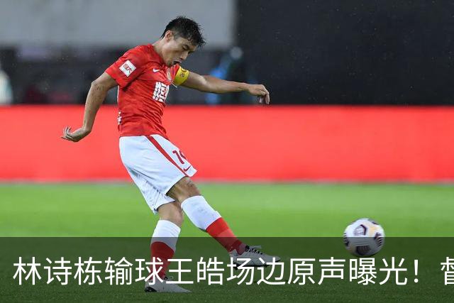 林诗栋输球王皓场边原声曝光！督促坚决无效果，赛后质问什么感觉