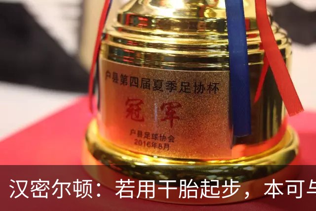 汉密尔顿：若用干胎起步，本可与维斯塔潘争冠