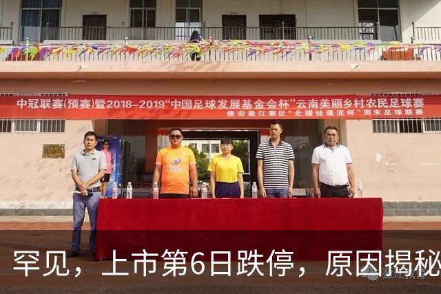 罕见，上市第6日跌停，原因揭秘！潜力低估值次新股出炉，仅10只