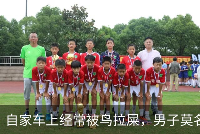 自家车上经常被鸟拉屎，男子莫名确诊肺炎，医生：不是个例，已有数例此类患者