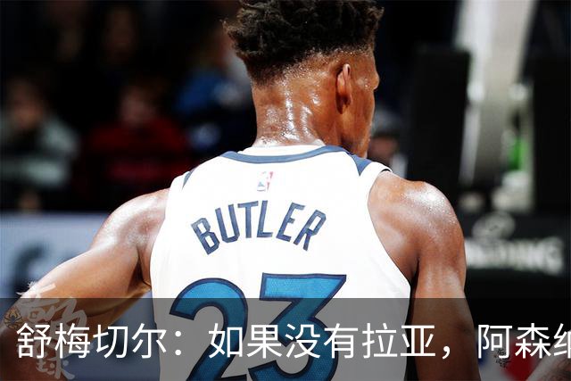 舒梅切尔：如果没有拉亚，阿森纳绝对不可能接近英超冠军