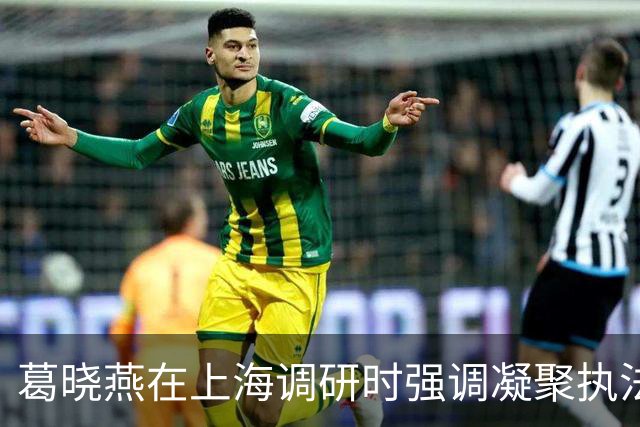 葛晓燕在上海调研时强调凝聚执法司法合力 携手推动金融高质量发展