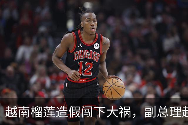 越南榴莲造假闯下大祸，副总理赶到南宁，请中国再给他们次机会？