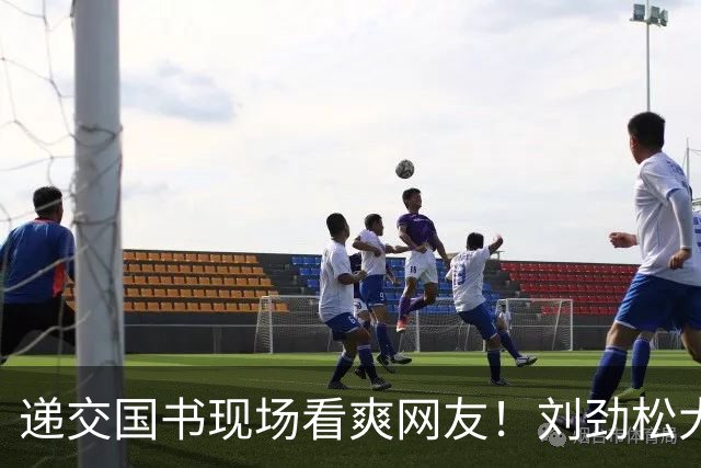 递交国书现场看爽网友！刘劲松大使的立领中山装，为何如此提气？
