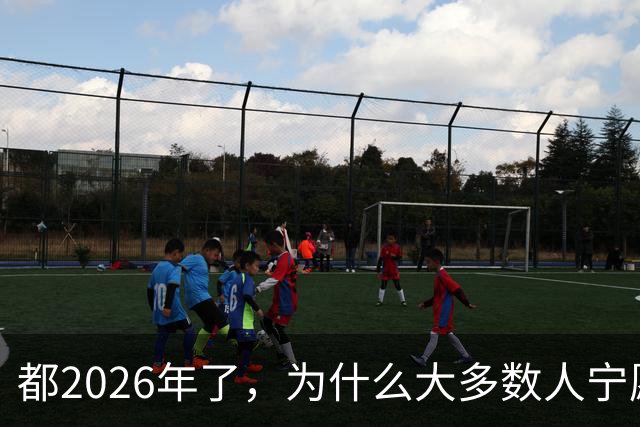 都2026年了，为什么大多数人宁愿排队扫码，也不用NFC支付？