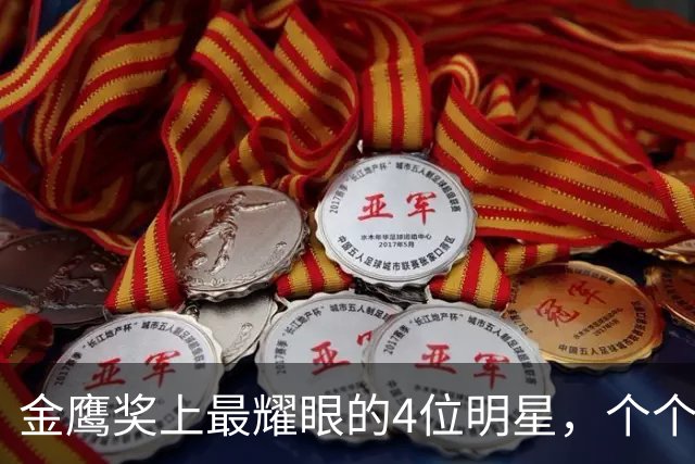 金鹰奖上最耀眼的4位明星，个个拿奖，实至名归，皆被观众喜爱