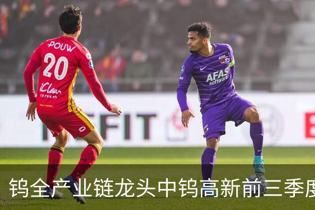 钨全产业链龙头中钨高新前三季度净利预增逾200%，PCB微钻等高端产品放量，股价却自年内高点回撤近60%