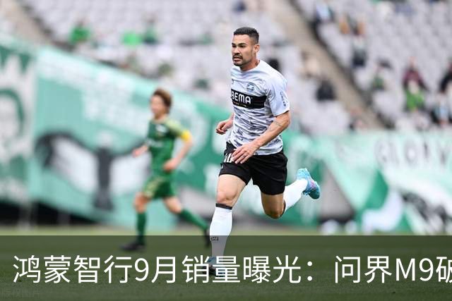 鸿蒙智行9月销量曝光：问界M9破万第一、尊界V800首月超2000台
