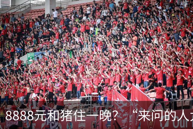 8888元和猪住一晚？“来问的人太多了”